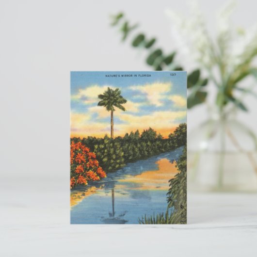 Natuur Mirror in Florida Briefkaart (Staand voorkant)