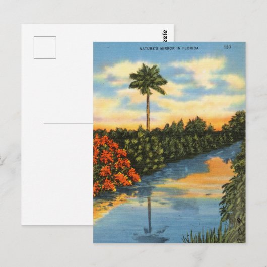 Natuur Mirror in Florida Briefkaart (Voorkant / Achterkant)