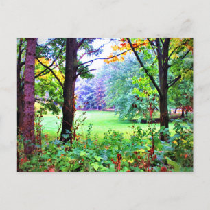 Natuur Misty Meadow Green Space Trees Briefkaart