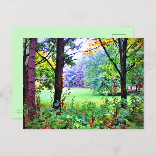 Natuur Misty Meadow Green Space Trees Briefkaart (Voorkant / Achterkant)