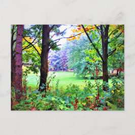 Natuur Misty Meadow Green Space Trees Briefkaart