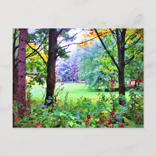 Natuur Misty Meadow Green Space Trees Briefkaart (Voorkant)