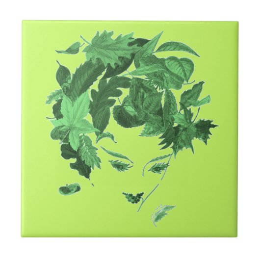 Natuur moeder Tegeltje (Voorkant)