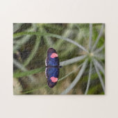 Natuur mooie blauwe vlinder Fotografie tuin Legpuzzel (Horizontaal)