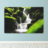 Natuur mooie Waterfall Moss Rocks Fotografie Canvas Afdruk (Insitu (Houten vloer))