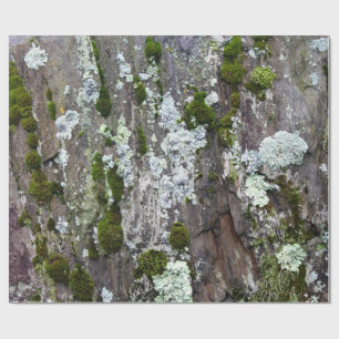 Natuur Moss Lichen Camouflage Foto Cadeaupapier