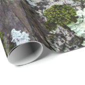 Natuur Moss Lichen Camouflage Foto Cadeaupapier (Rol Hoek)