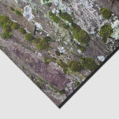 Natuur Moss Lichen Camouflage Foto Tissuepapier (Detail)
