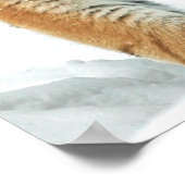 Natuur Mountains Tiger Winter Snow Photo Poster (Hoek)