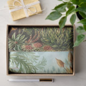 Natuur Muscinae Ernst Haeckel ontkoppeling Tissuepapier (Geschenk)