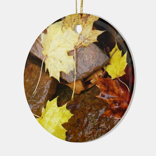 Natuur natte bladeren en rotsen keramisch ornament (Links)