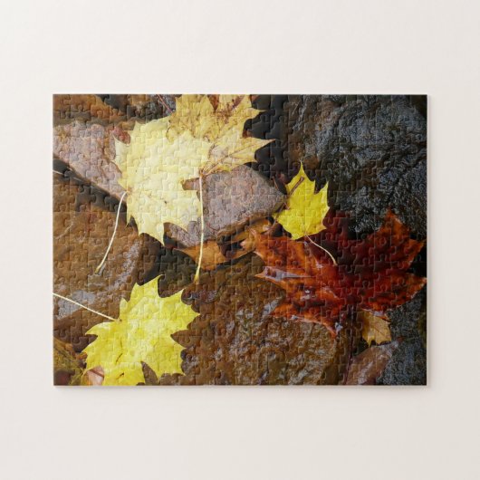 Natuur natte bladeren en rotsen legpuzzel (Horizontaal)