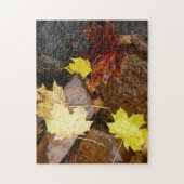 Natuur natte bladeren en rotsen legpuzzel (Verticaal)