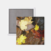 Natuur natte bladeren en rotsen magneet (Voorkant / Achterkant)