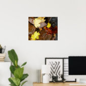 Natuur natte bladeren en rotsen poster (Thuiskantoor)