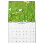 Natuur Natuurkalender Kalender (Jan 2027)