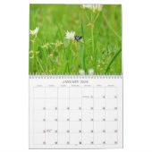 Natuur Natuurkalender Kalender (Jan 2026)