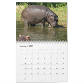 Natuur nijlpaard kalender (Jan 2027)