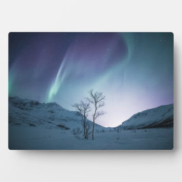 Natuur Noordelijke lampjes Foto Fotoplaat