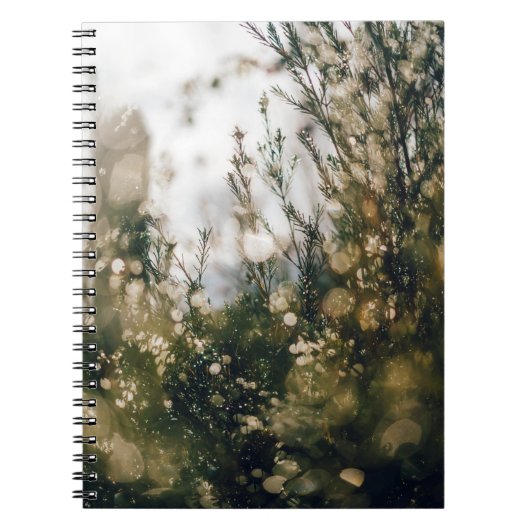 NATUUR NOTITIEBOEK (Voorkant)