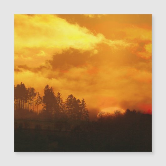 NATUUR OCHTEND ZONSONDERGANG (Voorkant)