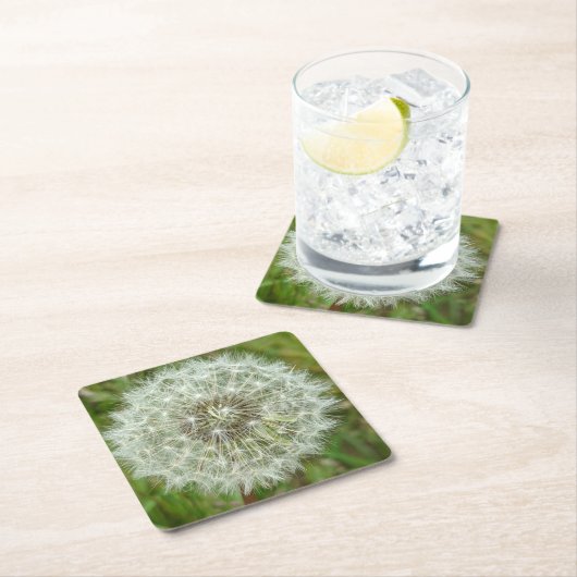 Natuur Onderzetters (Insitu)