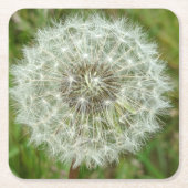 Natuur Onderzetters (Voorkant)