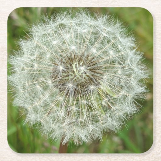 Natuur Onderzetters (Voorkant)