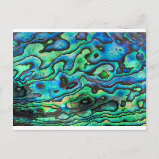 Natuur ontwerp paua zeeoor schelp briefkaart (Voorkant)