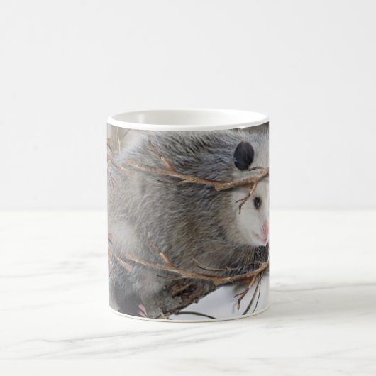 Natuur Opposum Mok (Center)