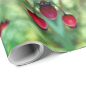 Natuur-opvulpapier Cadeaupapier (Rol Hoek)