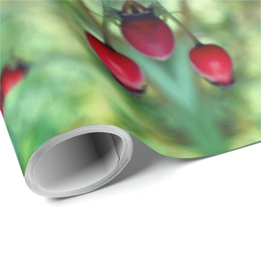 Natuur-opvulpapier Cadeaupapier (Rol Hoek)