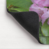 NATUUR OREGON MUISMAT (Hoek)