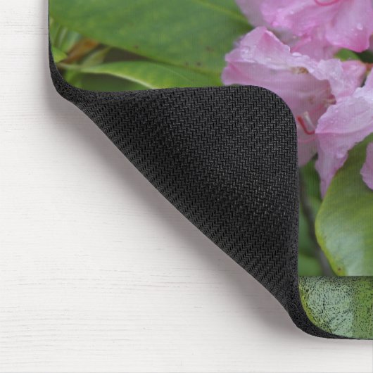 NATUUR OREGON MUISMAT (Hoek)