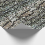 Natuur oude pijnschors cadeaupapier (Hoek)