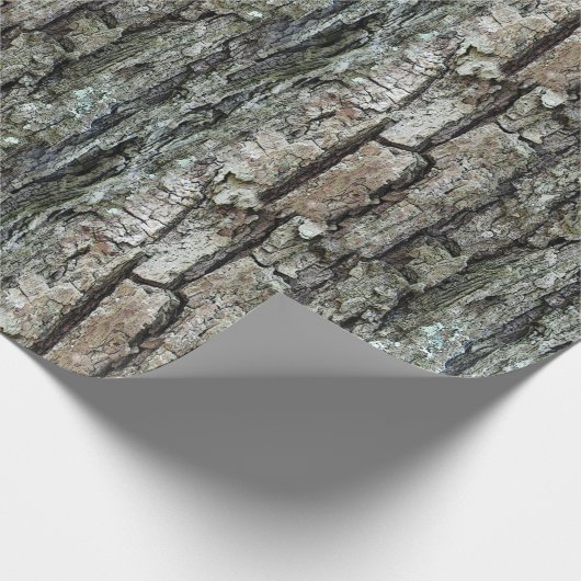 Natuur oude pijnschors cadeaupapier (Hoek)