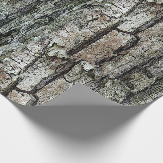 Natuur oude pijnschors cadeaupapier (Hoek)