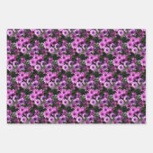 Natuur Paars-Afrikaanse Daisy Flowers Inpakpapier Vel (Voorkant 3)