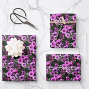 Natuur Paars-Afrikaanse Daisy Flowers Inpakpapier Vel