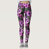 Natuur Paars-Afrikaanse Daisy Flowers Leggings (Voorkant)