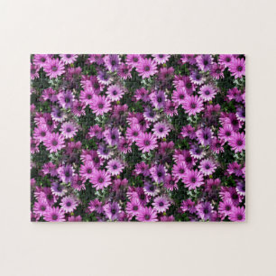 Natuur Paarse Afrikaanse Daisy Flowers Legpuzzel