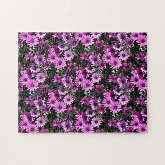 Natuur Paarse Afrikaanse Daisy Flowers Legpuzzel (Horizontaal)