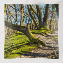 Natuur pad