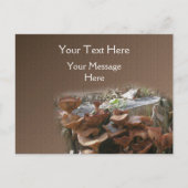 Natuur paddenstoel briefkaart (Voorkant)