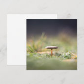 Natuur paddenstoel Fotokaart (Voorkant / Achterkant)