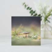 Natuur paddenstoel Fotokaart (Staand voorkant)