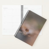 Natuur paddenstoel Fotokaart Planner (Display)
