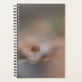 Natuur paddenstoel Fotokaart Planner