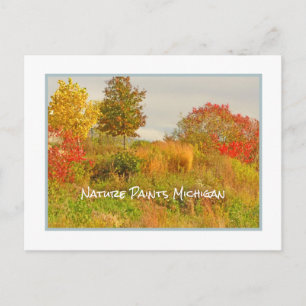 NATUUR PAINTS MICHIGAN/HERFST KLEURENBRIEFKAART BRIEFKAART