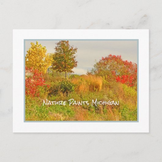 NATUUR PAINTS MICHIGAN/HERFST KLEURENBRIEFKAART BRIEFKAART (Voorkant)